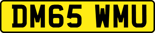 DM65WMU