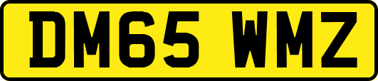 DM65WMZ
