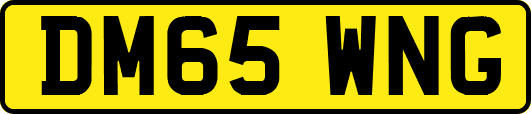 DM65WNG