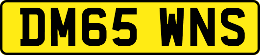 DM65WNS