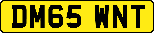 DM65WNT