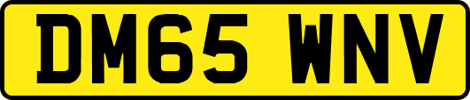DM65WNV
