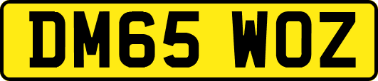 DM65WOZ