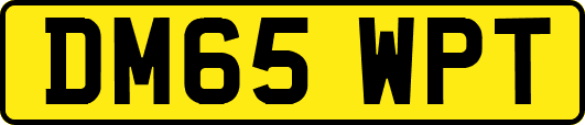 DM65WPT
