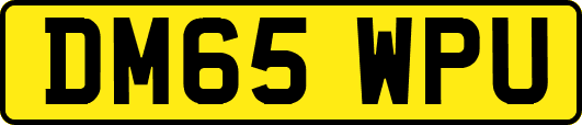 DM65WPU
