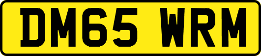 DM65WRM