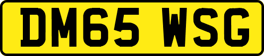 DM65WSG