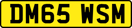 DM65WSM