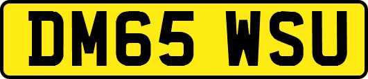 DM65WSU