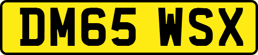 DM65WSX