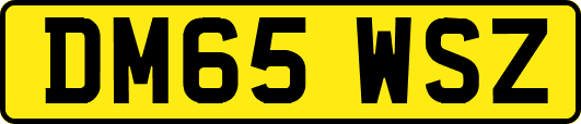 DM65WSZ