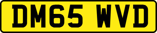 DM65WVD
