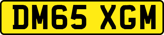 DM65XGM
