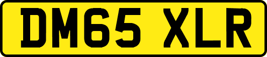 DM65XLR