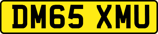 DM65XMU