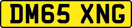 DM65XNG