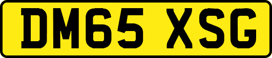 DM65XSG