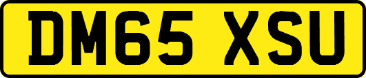 DM65XSU