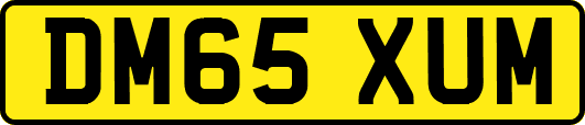 DM65XUM