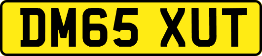 DM65XUT