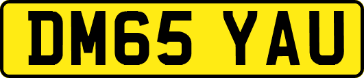 DM65YAU