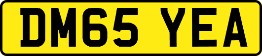 DM65YEA