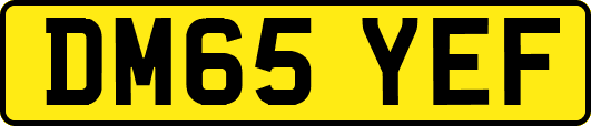 DM65YEF