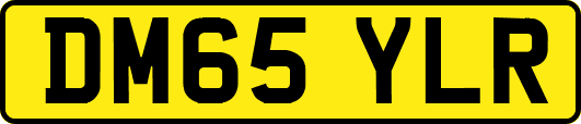 DM65YLR