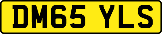 DM65YLS