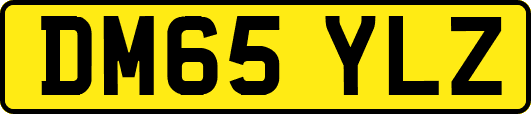 DM65YLZ