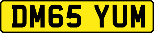 DM65YUM