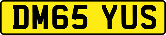 DM65YUS