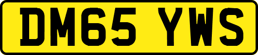 DM65YWS