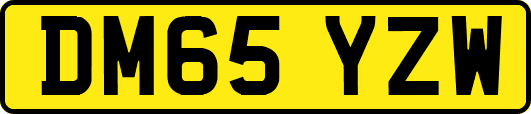 DM65YZW