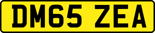 DM65ZEA
