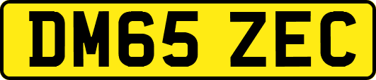 DM65ZEC
