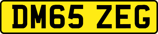 DM65ZEG