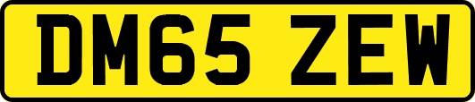 DM65ZEW