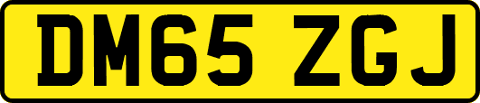 DM65ZGJ