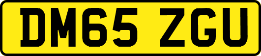 DM65ZGU