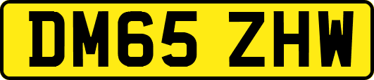 DM65ZHW
