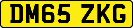 DM65ZKG