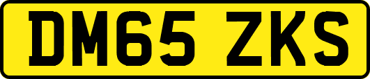 DM65ZKS