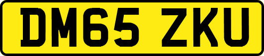 DM65ZKU