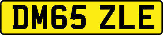 DM65ZLE