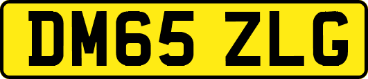 DM65ZLG