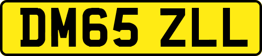 DM65ZLL