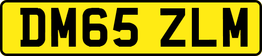 DM65ZLM