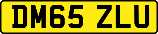 DM65ZLU