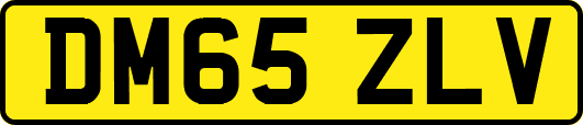 DM65ZLV